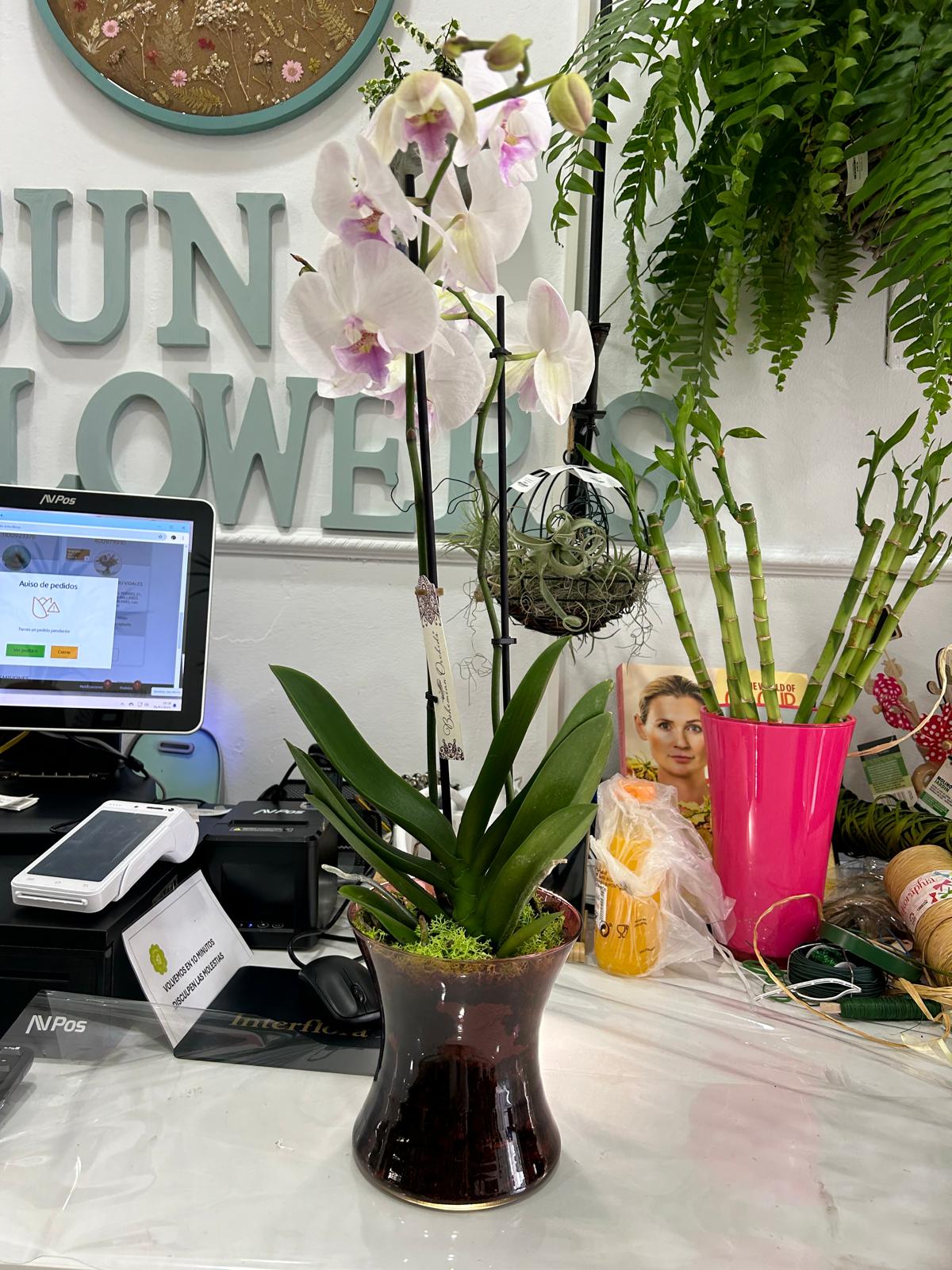 ORQUIDEA COLOR EN CRISTAL